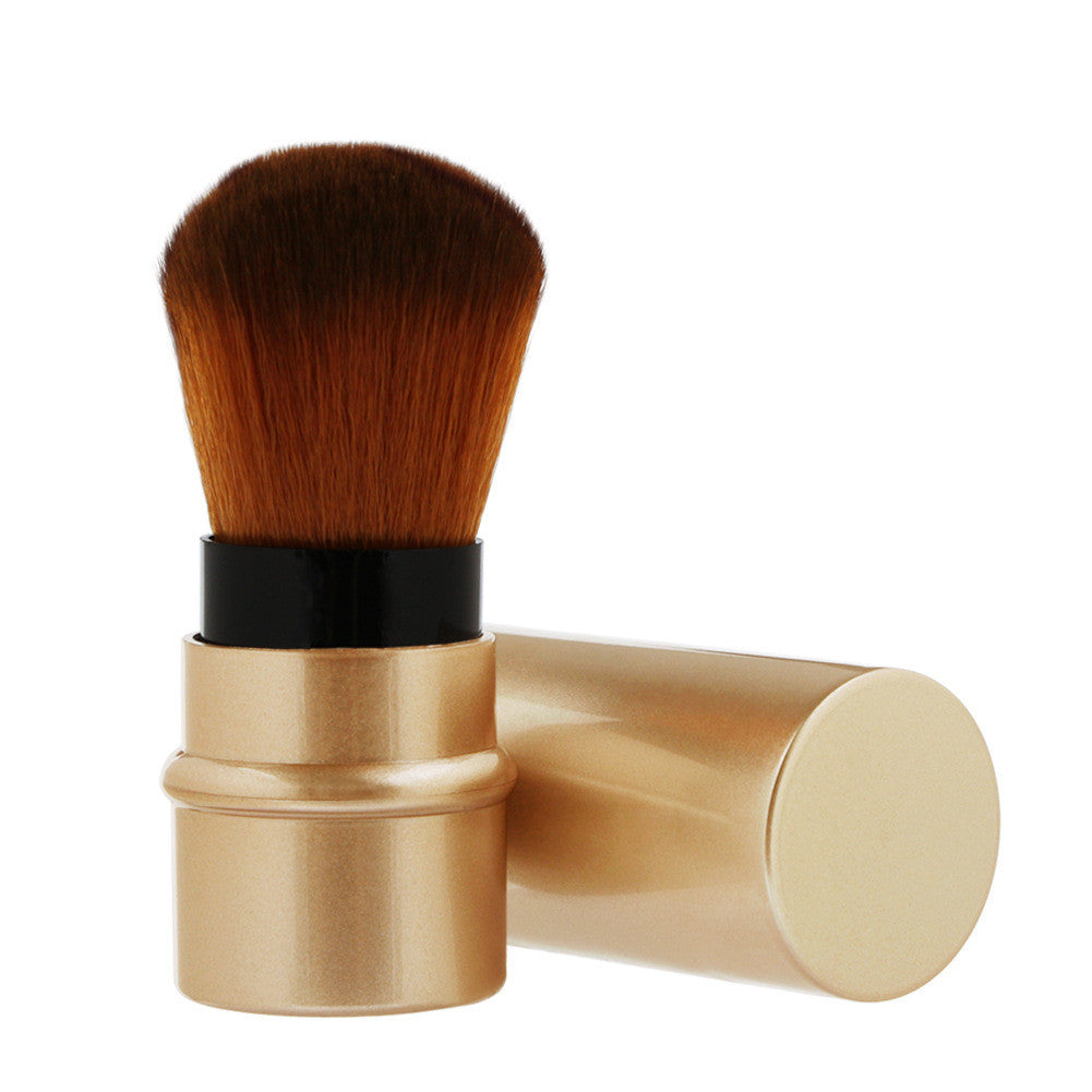 Pinceau pour DermaSilk