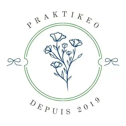 Praktikeo